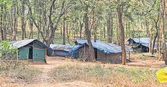 സർക്കാരേ, ഇവിടേക്ക് ഒന്നു നോക്കണം
